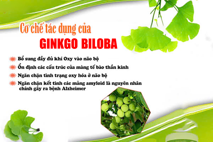Bị rối loạn tiền đình nên làm gì?