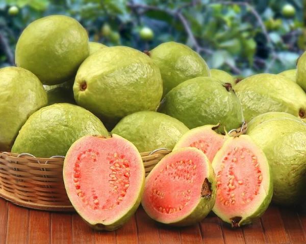 Thực đơn giảm cân bằng ổi có hiệu quả hay không?