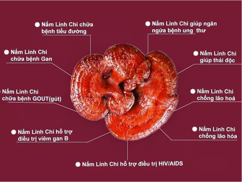 Ung thư phổi sống được bao lâu? Phân tích tiên lượng và cách chăm sóc bệnh nhân giai đoạn 4