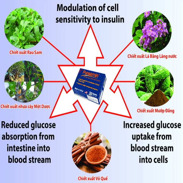 Top 5 loại nước uống giúp đảo ngược tình trạng tiền tiểu đường