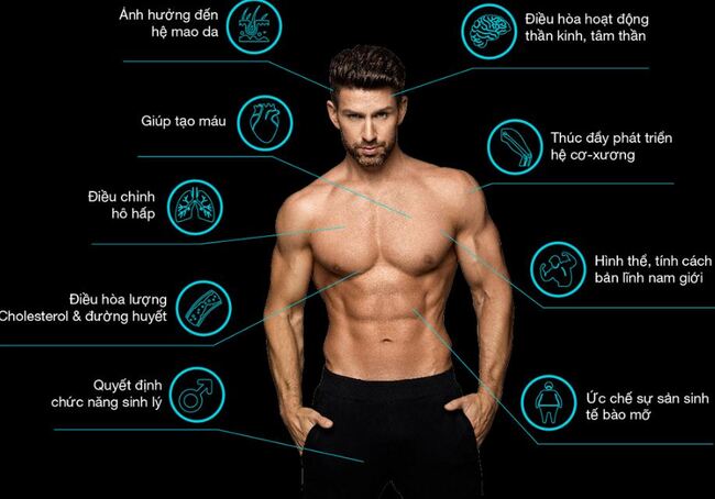 Chế độ ăn hỗ trợ ngăn ngừa rối loạn cương dương