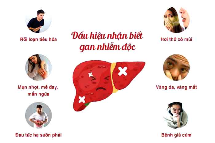 3 loại đồ uống cải thiện gan nhiễm mỡ hiệu quả, dễ áp dụng mỗi ngày