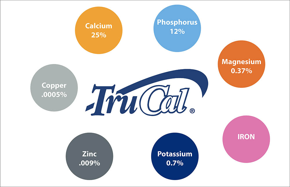 Ăn gì giúp trẻ tăng chiều cao?