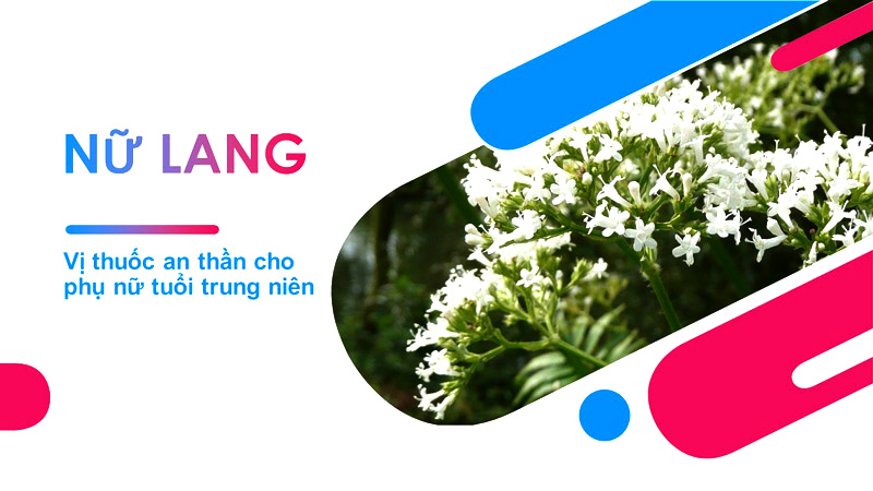 3 quy tắc đơn giản giúp giảm cân bền vững