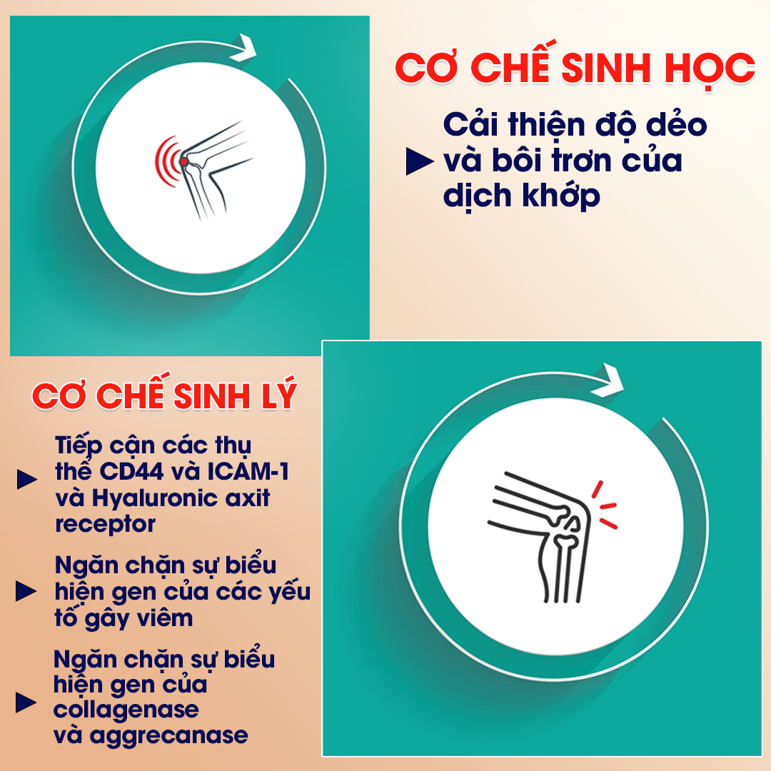 Đau khớp gối có nguy hiểm không?